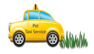 Pet Taxi