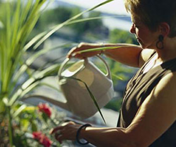 Woman Watering Plants